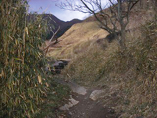 鶴の湯