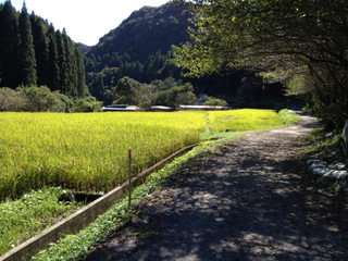 和気湯