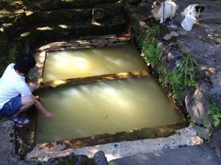 和気湯