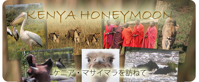 ケニアハネムーン旅行記