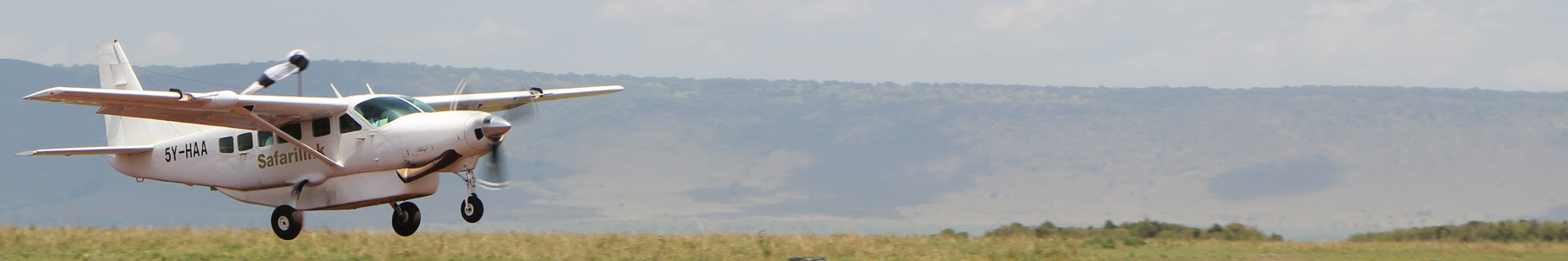 Top Image